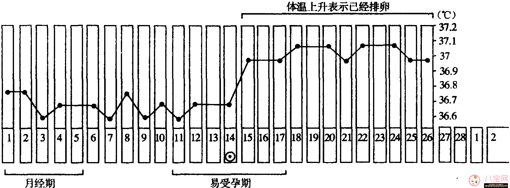 快速怀孕|备孕首先应该了解什么？宫颈黏液和排卵期是什么？