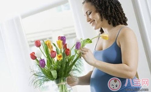 花|孕妇不能养什么花草 孕妇适合养哪些花草(适合孕妇养的花草名单)