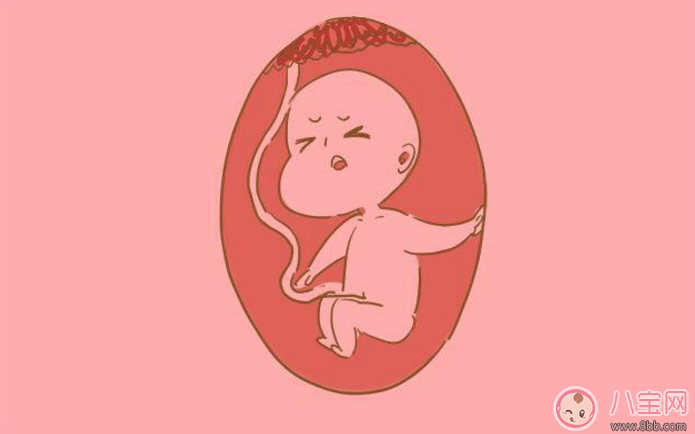 手机|怀孕了一天到晚玩手机对胎儿有什么影响