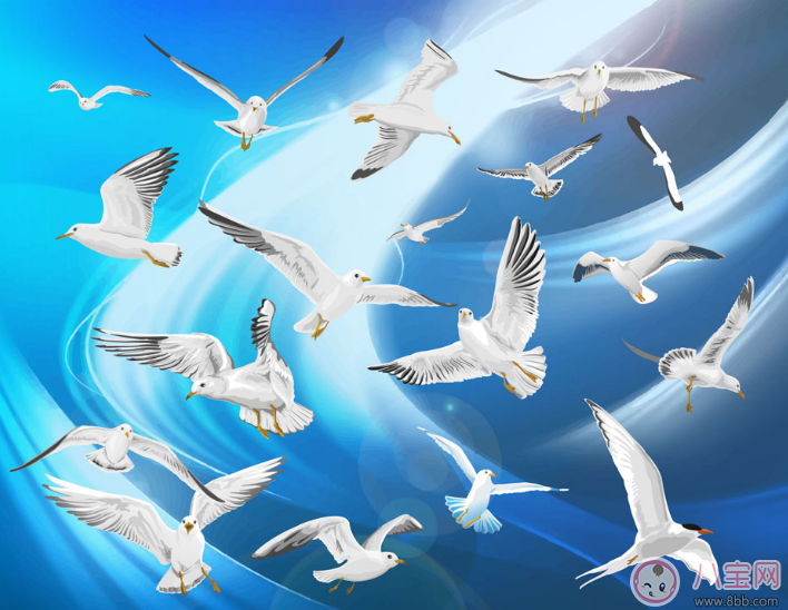 宝宝|胎宝宝爱听的胎教故事：勤劳的小鸽子