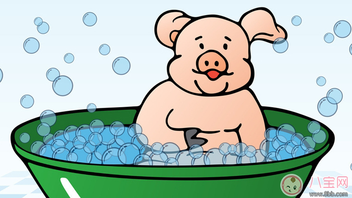 宝宝|胎宝宝爱听的胎教故事：小猪萌萌不洗澡