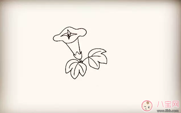 牵牛花|儿童简笔画 简笔画牵牛花喇叭花