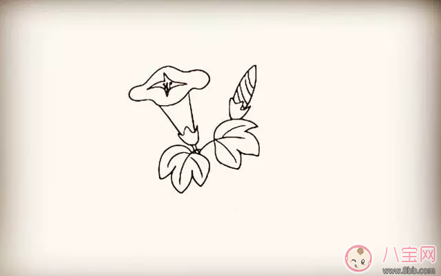 牵牛花|儿童简笔画 简笔画牵牛花喇叭花