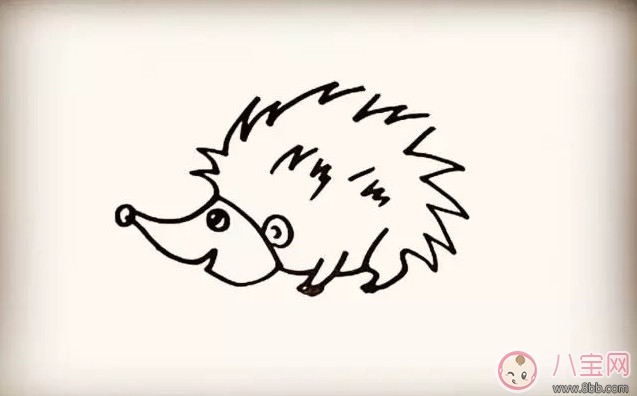 简笔画|儿童小动物简笔画 森林里的小刺猬简笔画
