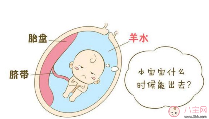 羊水|孕晚期羊水过多怎么办 羊水过多的原因