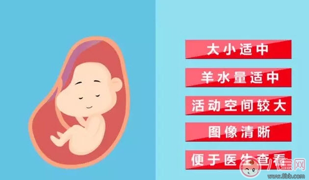 b超|从怀孕到生要做几次b超 怀孕做多少次b超合适(孕期b超时间表)