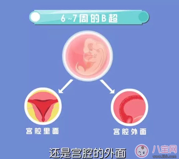 b超|从怀孕到生要做几次b超 怀孕做多少次b超合适(孕期b超时间表)