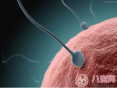 不孕|备孕不成功原因多求助医生来帮忙