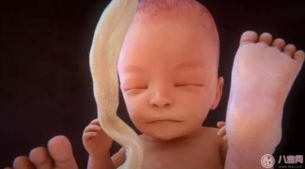 预产期|如果生男孩一般提前多久 男孩是不是都提前出生提前几天