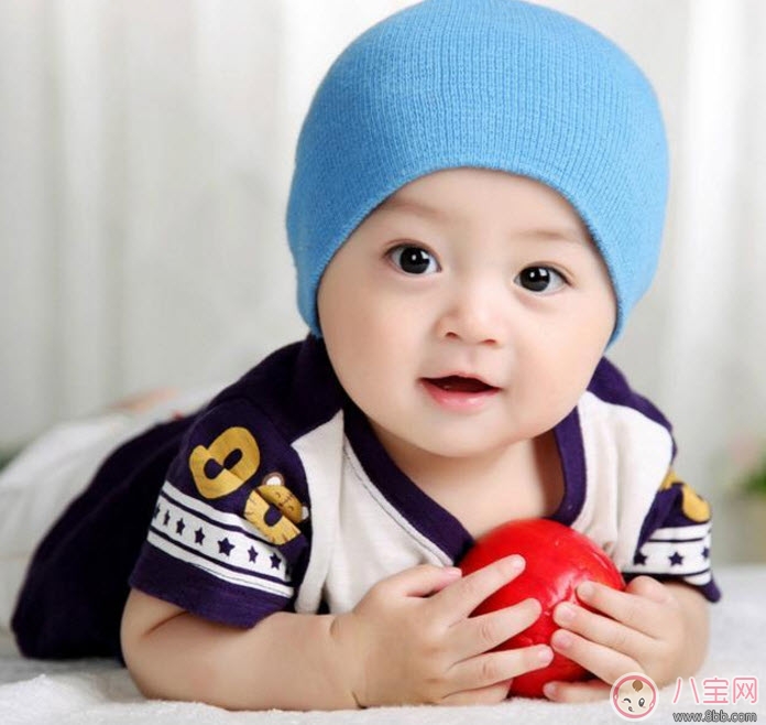 玩具|4-6个月早教玩具有哪些 早教玩具益智玩具