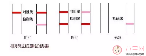 排卵试纸|排卵试纸弱阳能怀上吗 排卵试纸怎么看