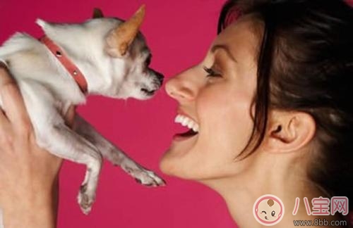 宠物|孕期家里有宠物怎么办 孕期养宠物注意事项