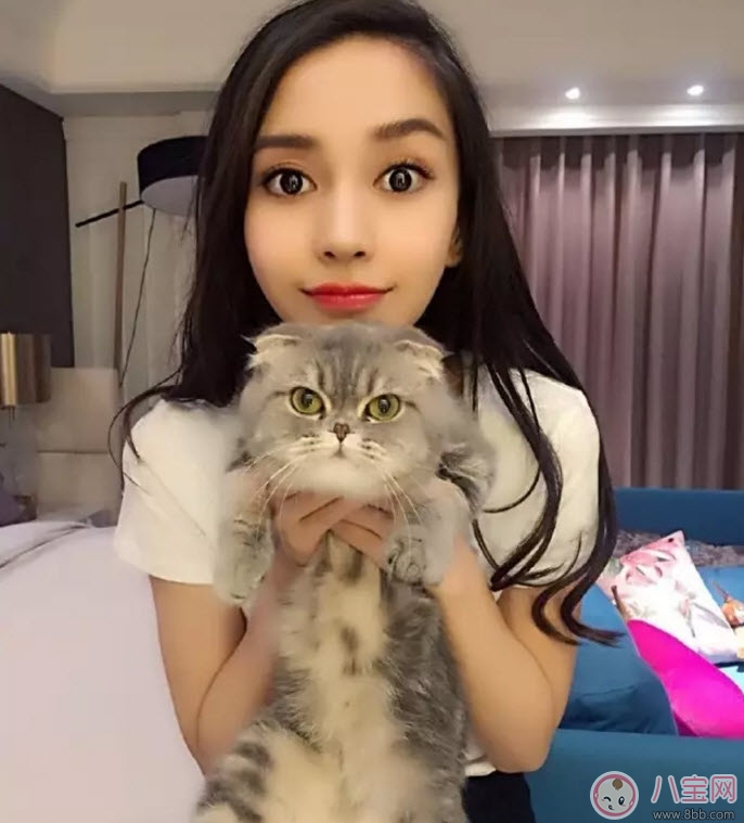 宠物|孕期家里有宠物怎么办 孕期养宠物注意事项