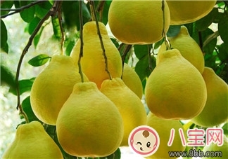 减肥|柚子减肥法秋季去燥又瘦身