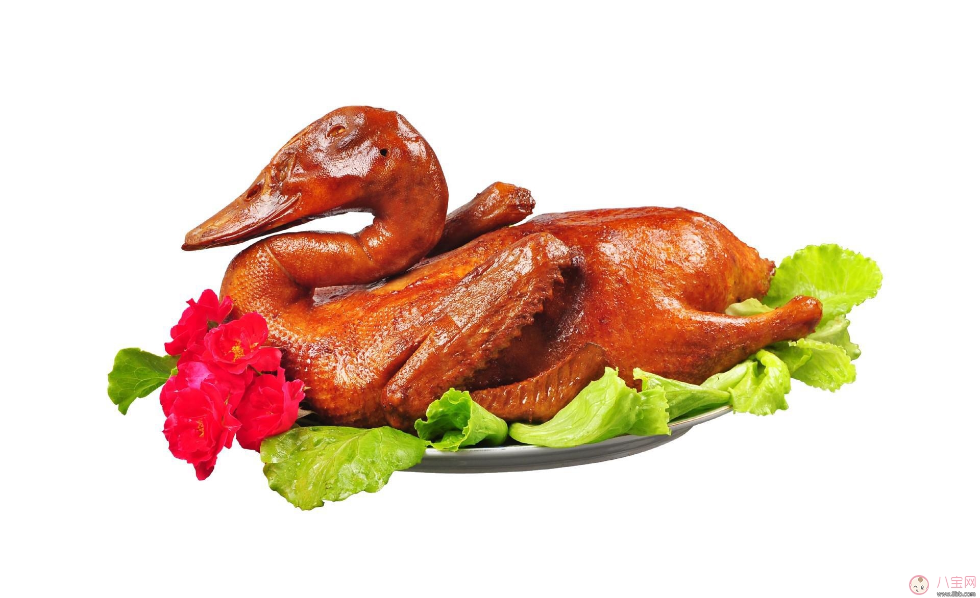 鸭肉|怀孕了能吃鸭肉吗 孕期吃鸭肉的好处