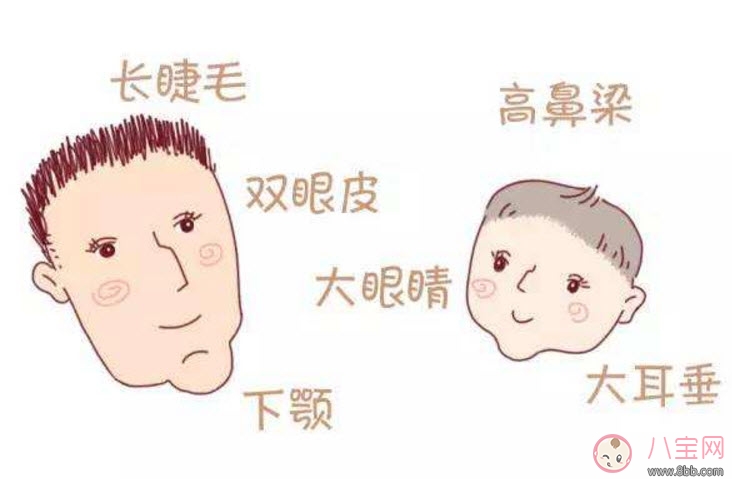 基因|宝宝遗传谁的基因多 宝宝的长相会遗传谁的