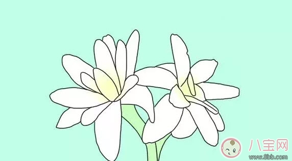 驱蚊|夏天宝宝驱蚊方法大全 宝宝驱蚊成分哪种安全有效