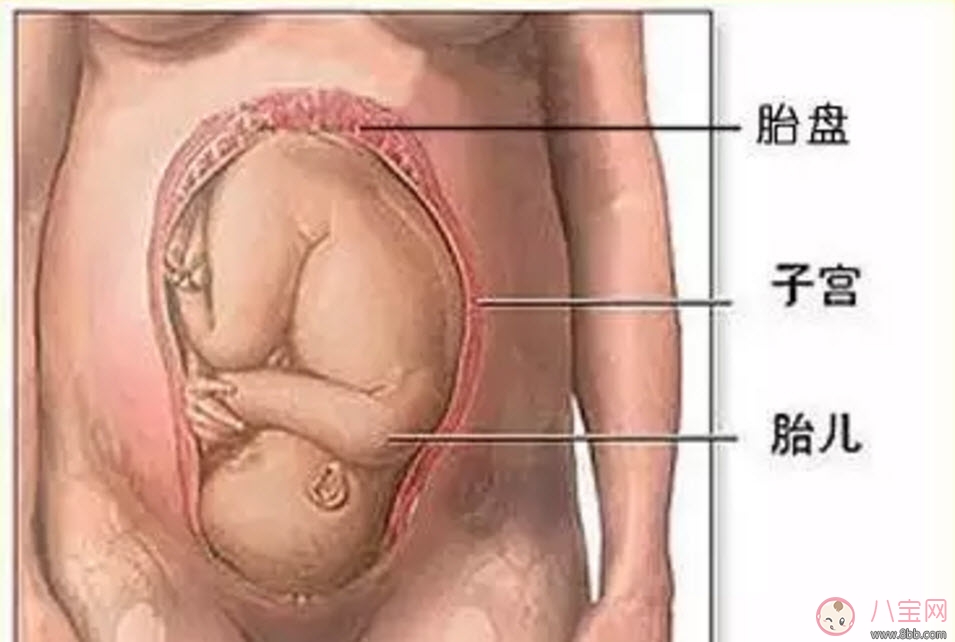 预产期|胎盘晚熟预产期会推迟吗 胎盘成熟度1级能分娩吗