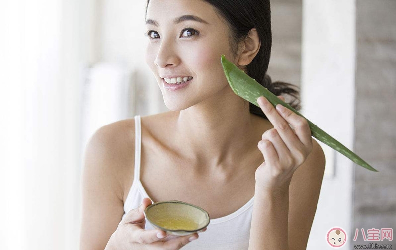 产后|芦荟美容功效多 产后正确使用更漂亮