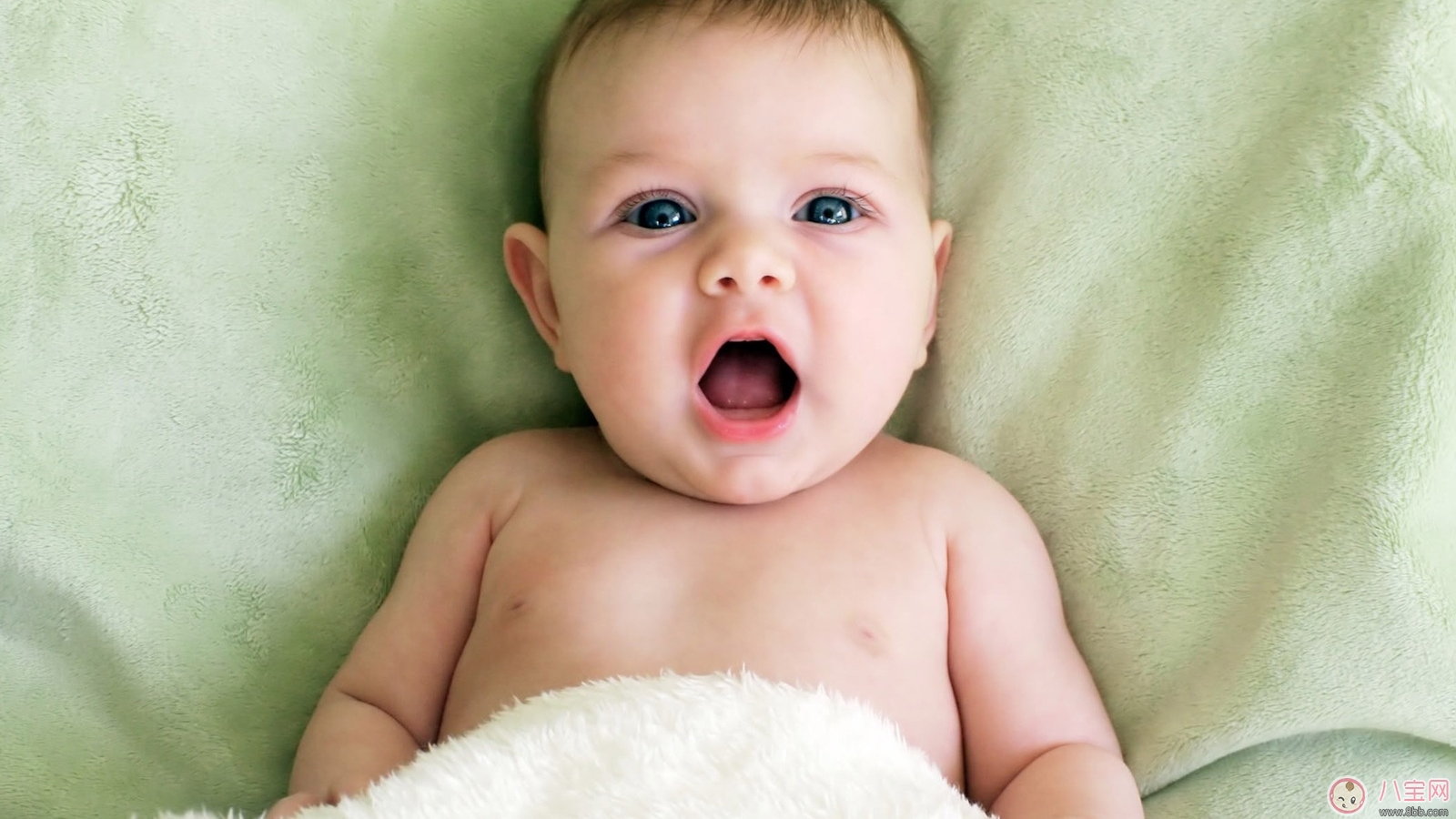 排便|宝宝大便显示了宝宝的状况 注意宝宝排便频率