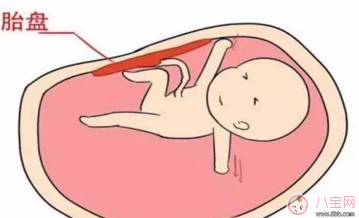 标准|胎盘三级就已经老化了吗 胎盘老化判断标准