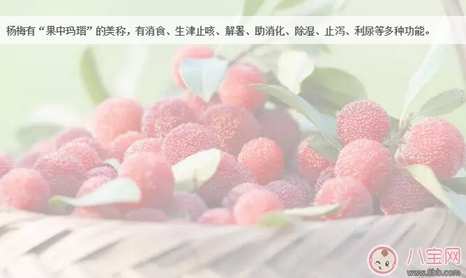 杨梅|孕妇可以吃新鲜杨梅吗 孕妇吃杨梅注意事项