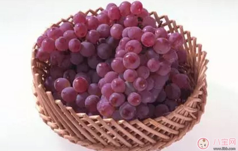 葡萄|孕妇每天可以吃多少葡萄 怀孕吃葡萄有什么好处