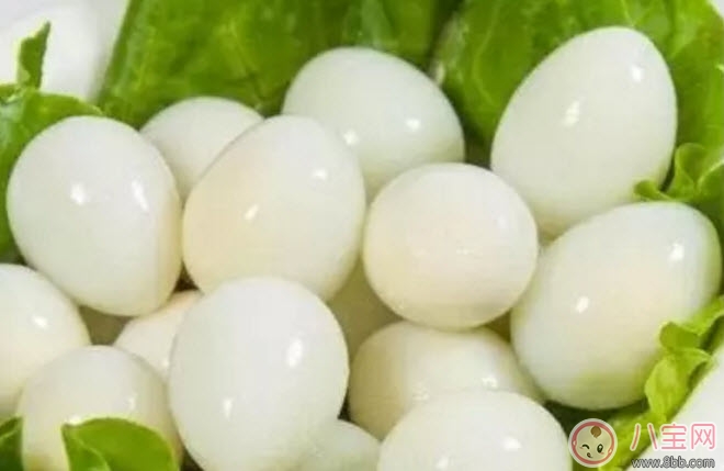 鹌鹑蛋|孕妇吃鹌鹑蛋会长斑吗 孕妇鹌鹑蛋每天吃几个(3-4个)