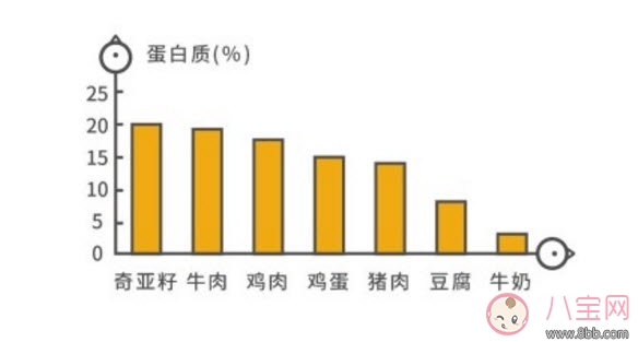 副作用|奇亚籽为什么这么火 奇亚籽的功效与作用(奇亚籽副作用)