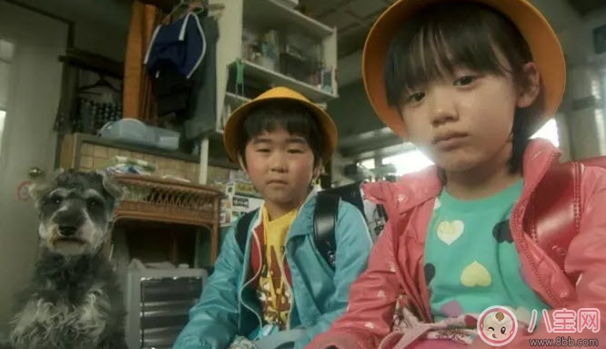 语言|刚学说话的宝宝要不要和他说方言 家庭语言杂乱家长怎么教