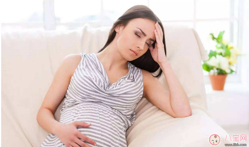 孕妇|樟脑丸孕妇闻后致流产 家中秋季防霉、防蛀指南