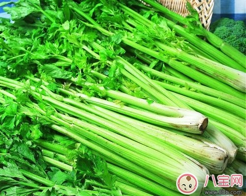 营养|健康饮食须知 芹菜可预防多种疾病