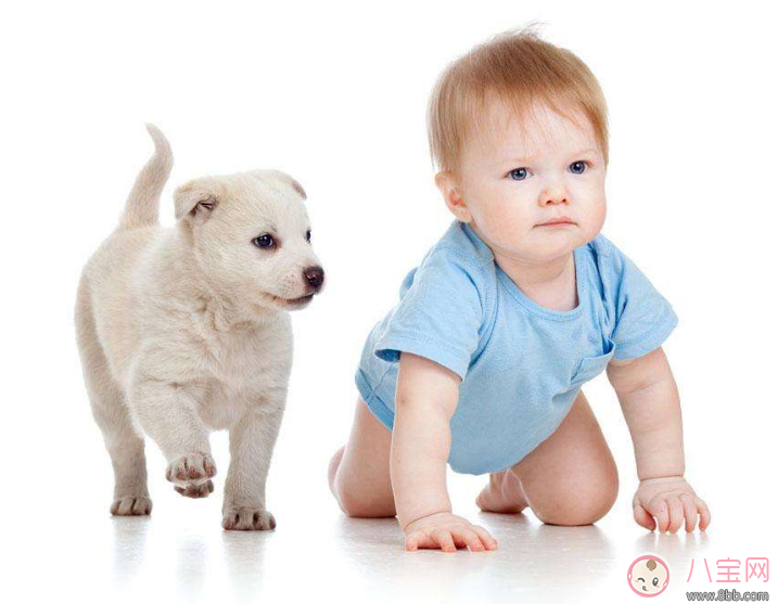 安慰物|孩子形影不离安慰物 怎么理解孩子迷恋安慰物