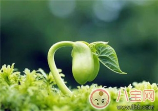 育儿|婆婆干涉教育孩子怎么办 遵循原则解难题