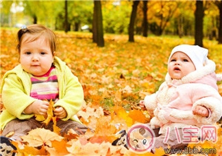 秋季|宝宝秋季饮食辅食原则和制作