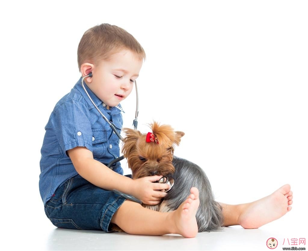 咬伤|宝宝被各种宠物抓咬伤的紧急处理措施