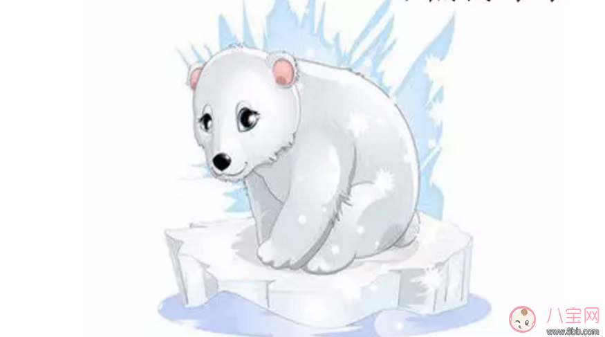 启蒙|睡前故事小熊找妈妈