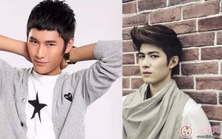 明星|金丝雀是什么梗 郭敬明的金丝雀是谁(金丝雀事件关系梳理)