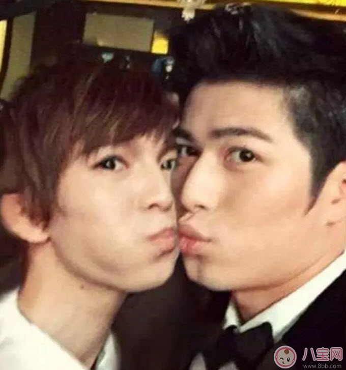 明星|金丝雀是什么梗 郭敬明的金丝雀是谁(金丝雀事件关系梳理)