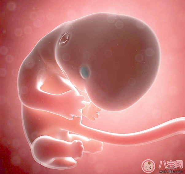 顺产|怀孕不想被侧切怎么办 不想侧切准备工作