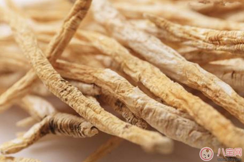 党参|孕妇可以喝党参汤吗 孕妇可以吃党参补气血吗