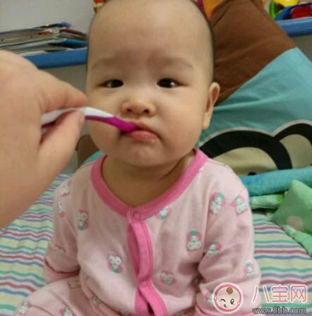 辅食|小白熊辅食机怎么样 小白熊辅食机好用吗(小白熊辅食机0673测评)