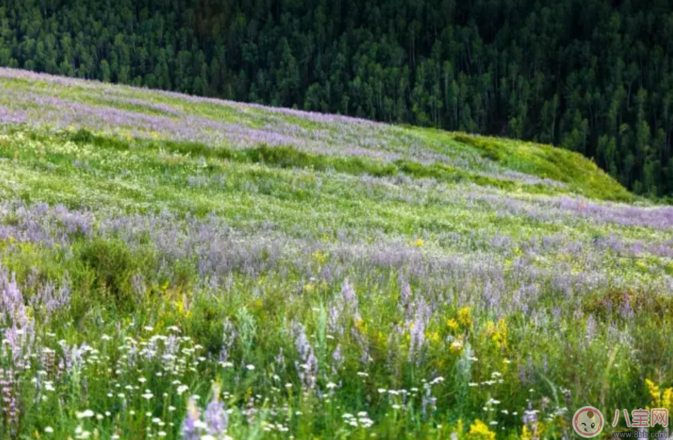 旅游|2017处女月七夕节自驾游旅游攻略