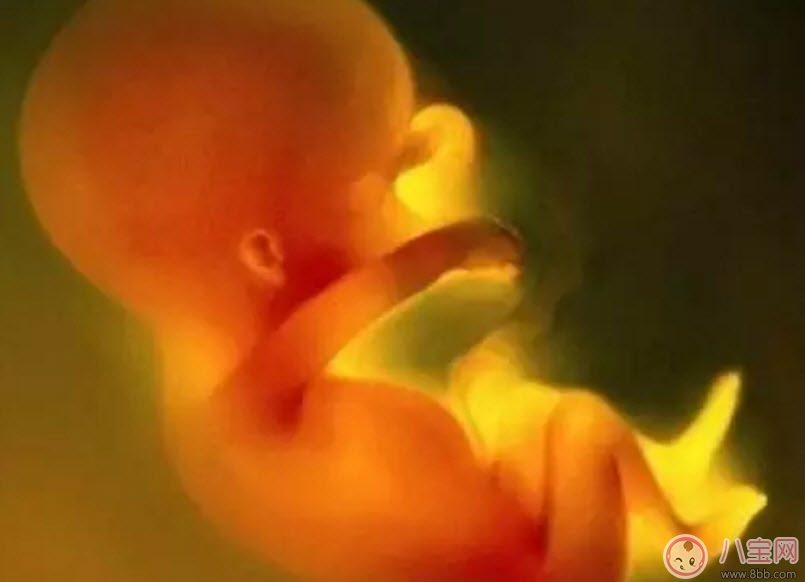 记忆|宝宝真的有胎前记忆吗 孩子的胎前记忆怎么被唤醒