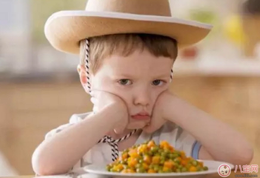 吃饭|幼儿园的饭菜有什么不一样 为什么孩子在家不爱吃饭在幼儿园胃口好