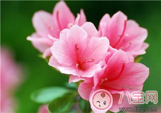 腰酸背痛|产后腰酸背痛的原因如何缓解症状