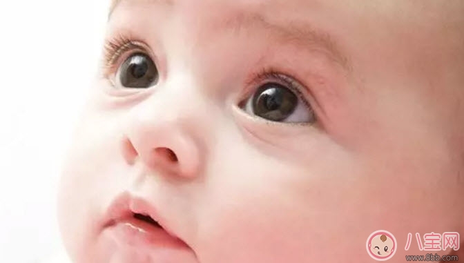 遗传|爸爸遗传给孩子的特征有哪些 女孩像爸爸男孩像妈妈是真的吗