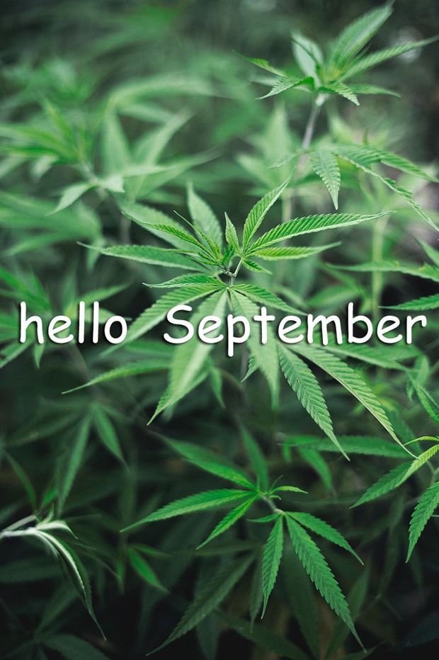 说说|八月再见九月你好说说朋友圈 八月再见九月你好带九月字图片