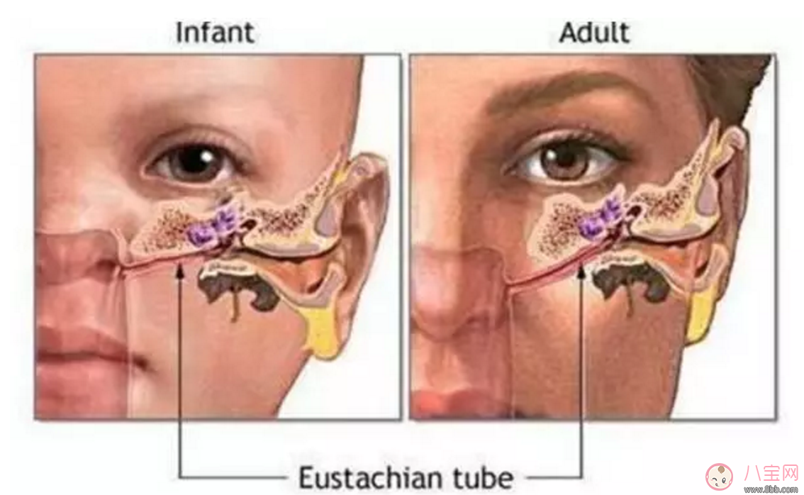 耳朵痛|宝宝耳朵痛 小心感冒引起中耳炎