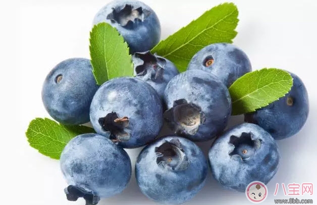 蓝莓|孕妇一天吃多少颗蓝莓 孕妇吃蓝莓怎么洗才干净